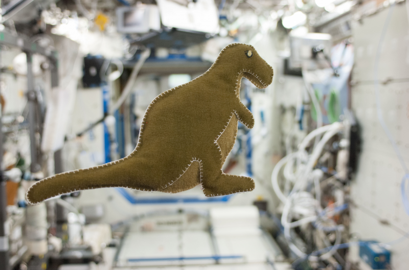 Dino's in het ISS, het verhaal achter de collectie