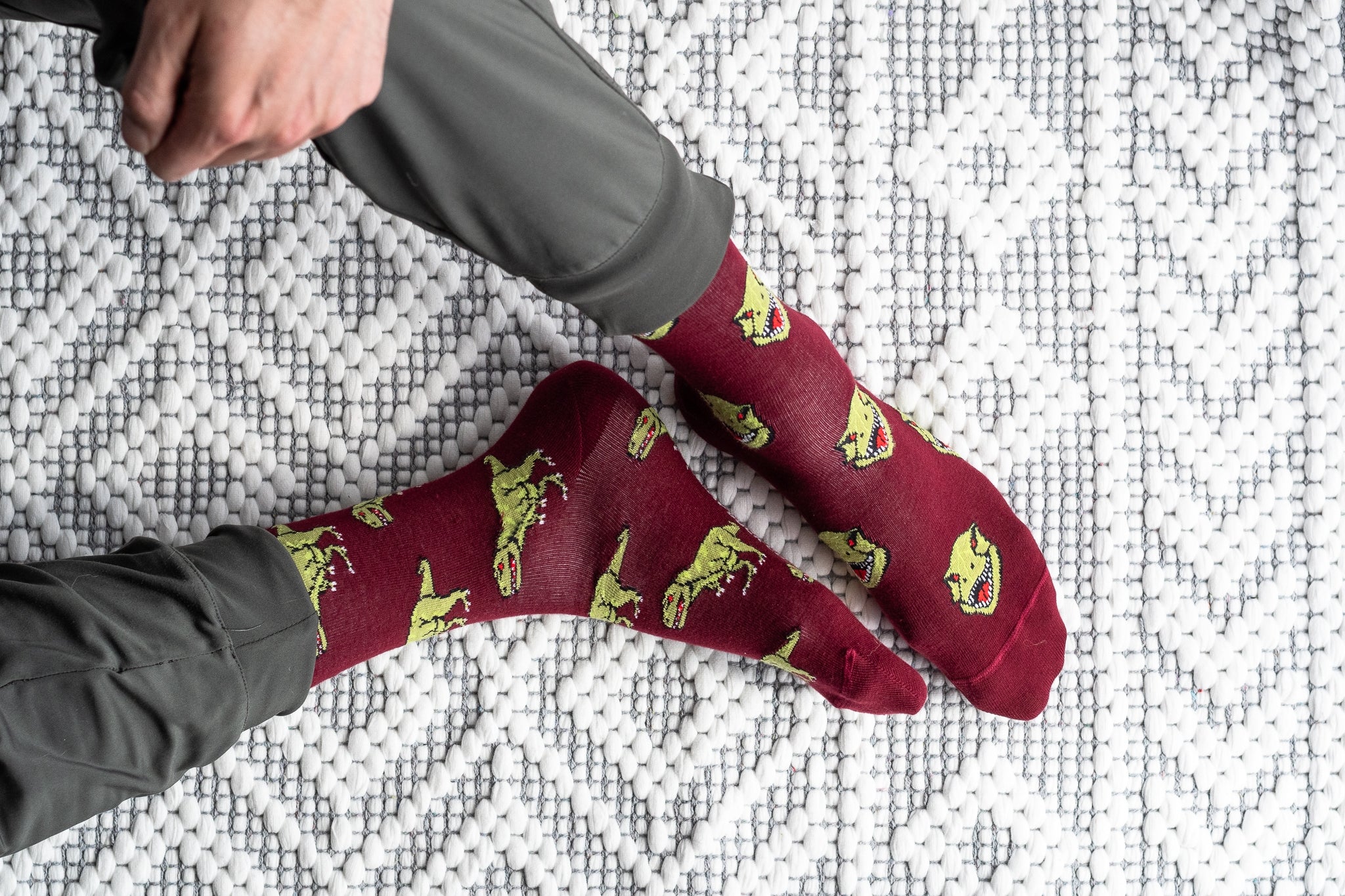 socks T-rex