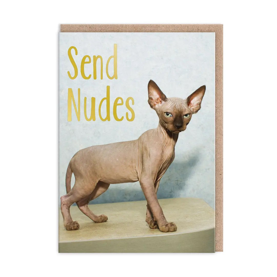 Greeting Card "Send Nudes"