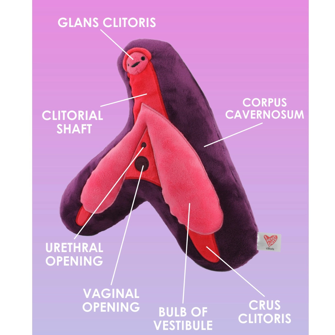 Knuffel clitoris - Enjoy Your Clitoris