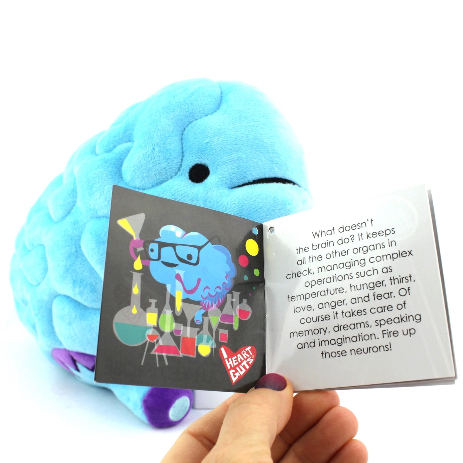 Knuffel brein - All you need is lobe