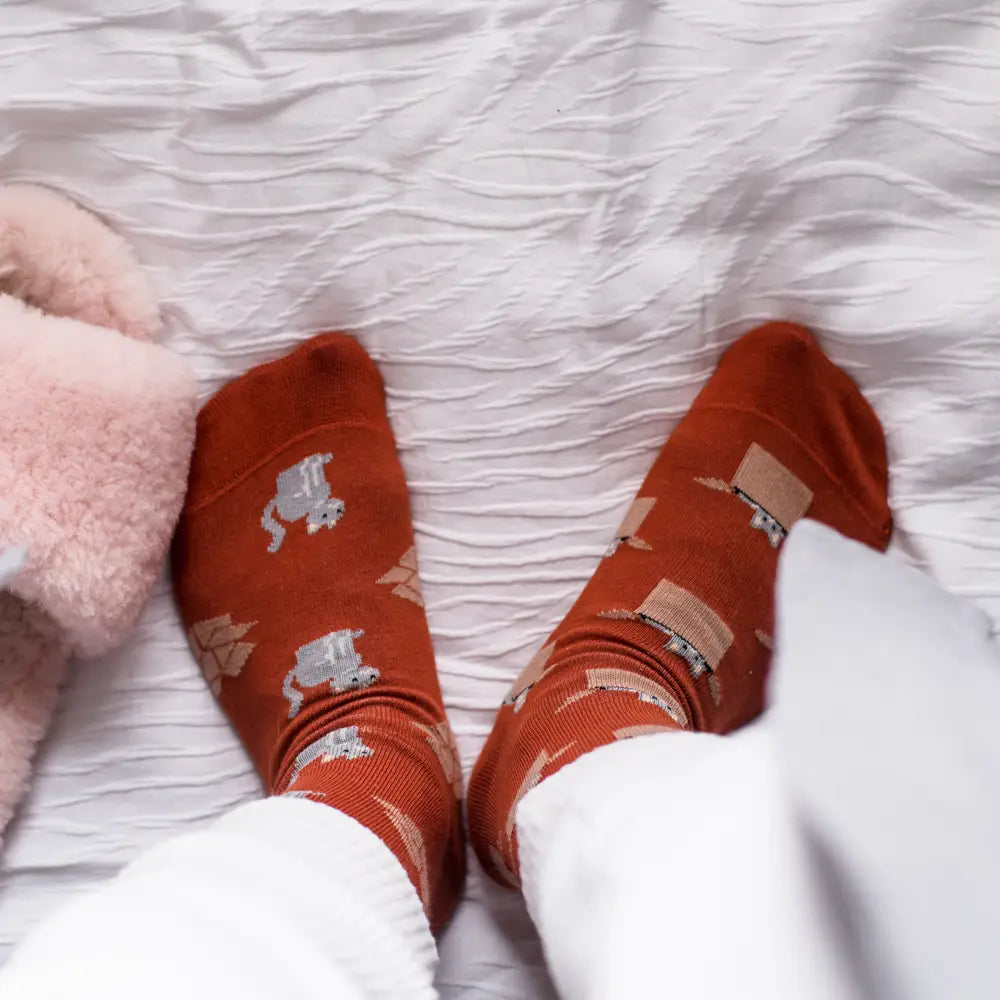 Schrodinger's socks