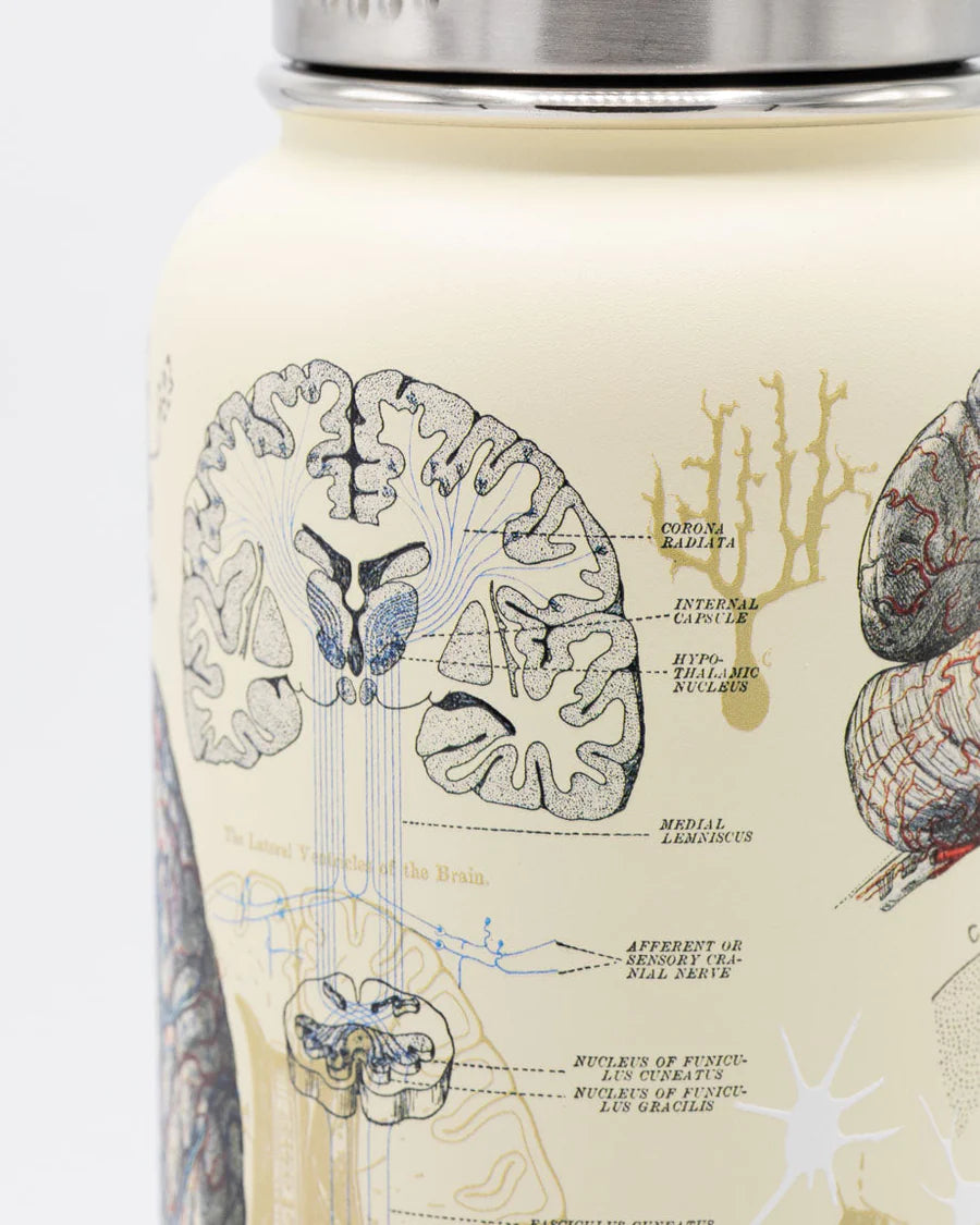 Drinkfles "Brain & Neuroscience" (950ml)