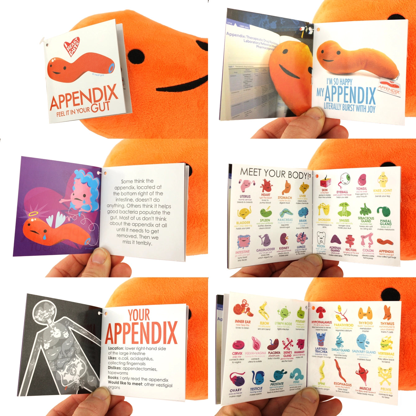 Knuffel appendix - Feel it in your gut