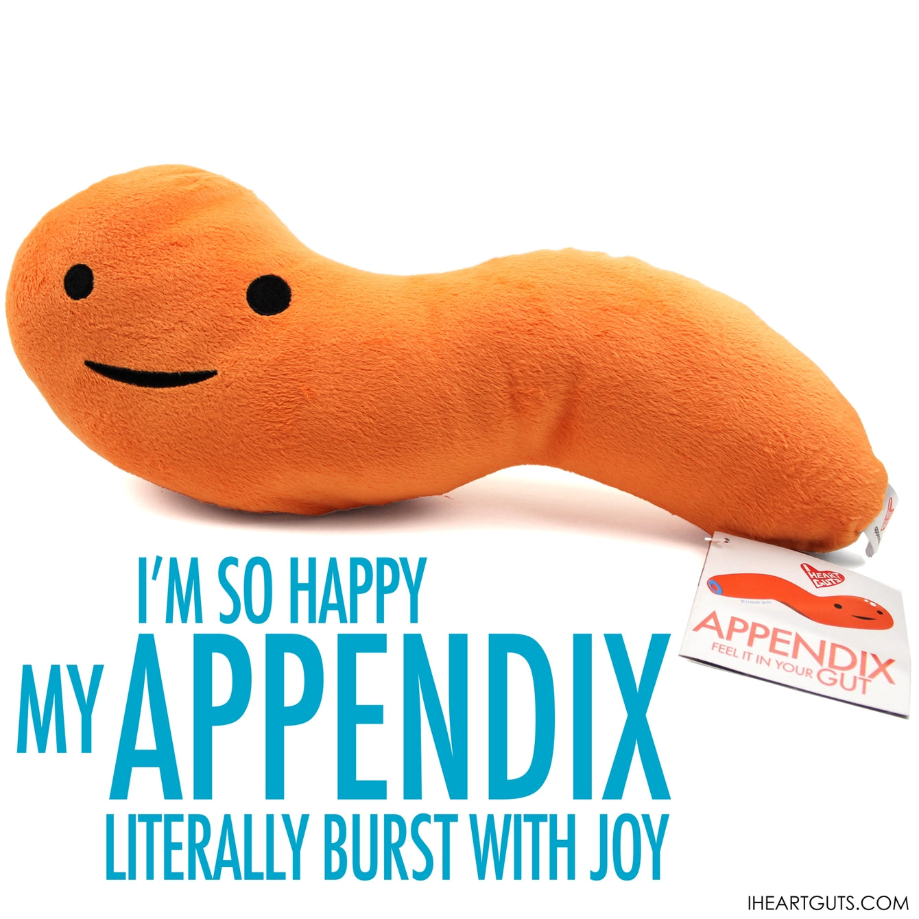 plushie appendix - Feel it in your gut