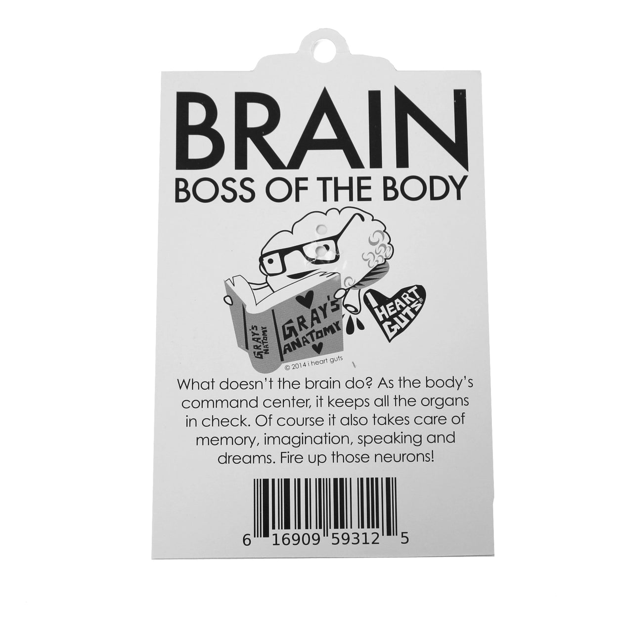Keychain brain - All you need is lobe