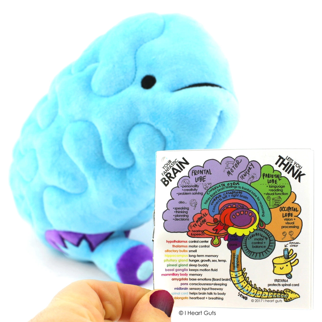 Knuffel brein - All you need is lobe