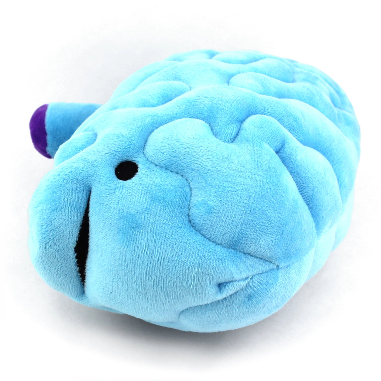 Câlin cerveau - Tout ce dont tu as besoin c'est d'un lobe