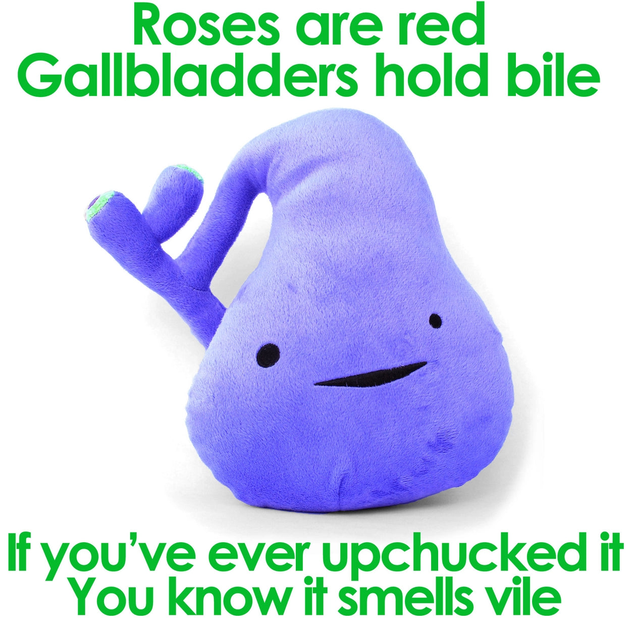 Knuffel galblaas - You’ve got gall