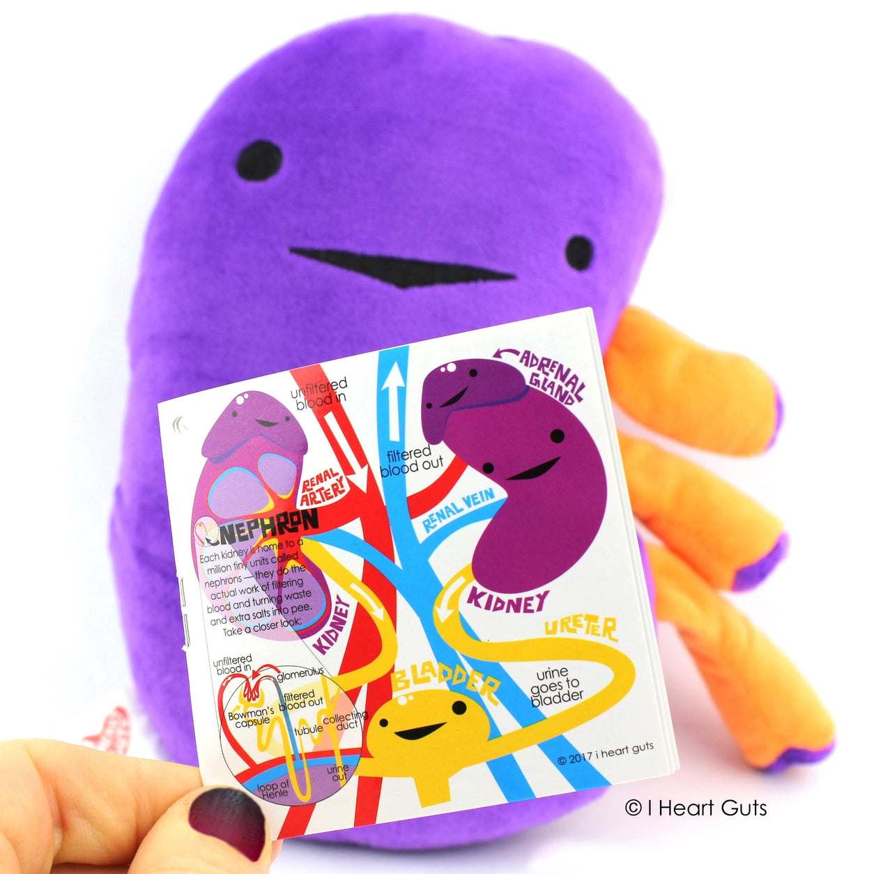plushie kidney - When urine love