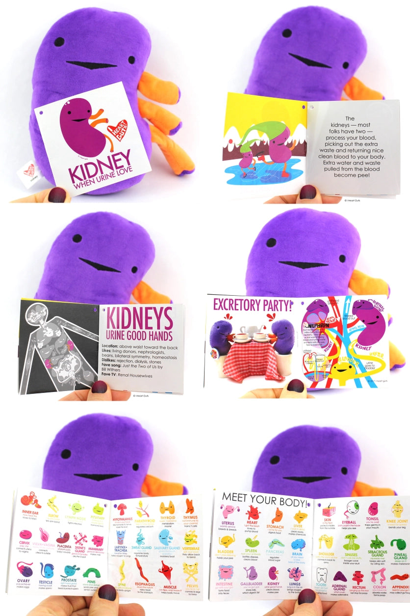 plushie kidney - When urine love