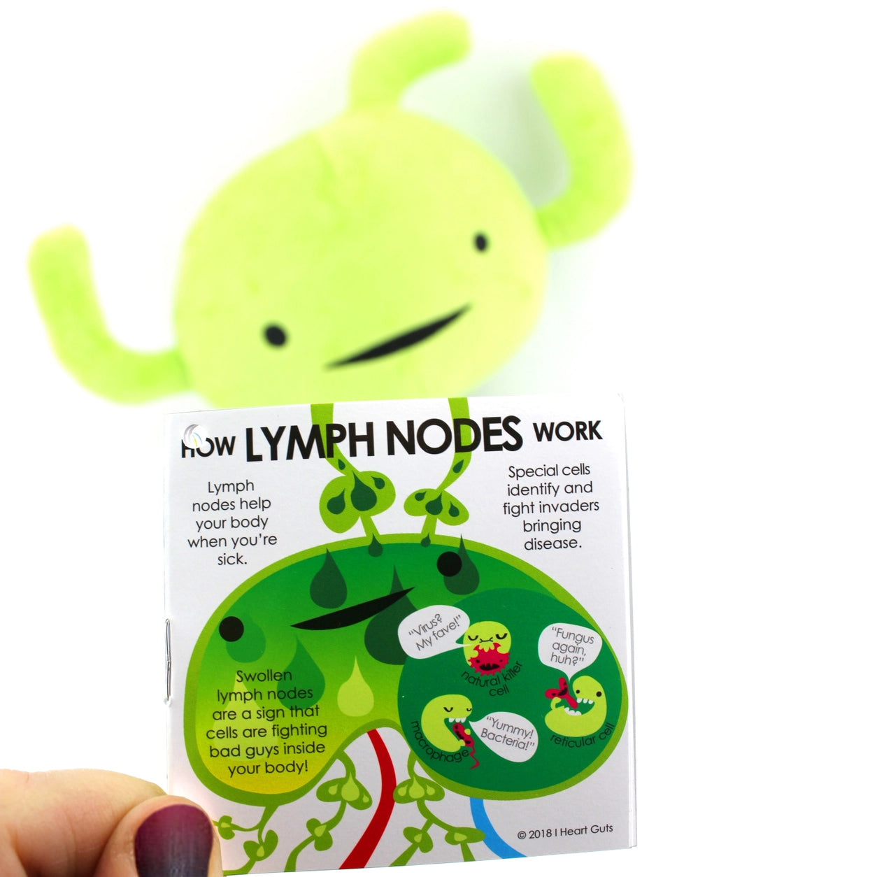 Knuffel lymfeklier - Rock Your Antibody