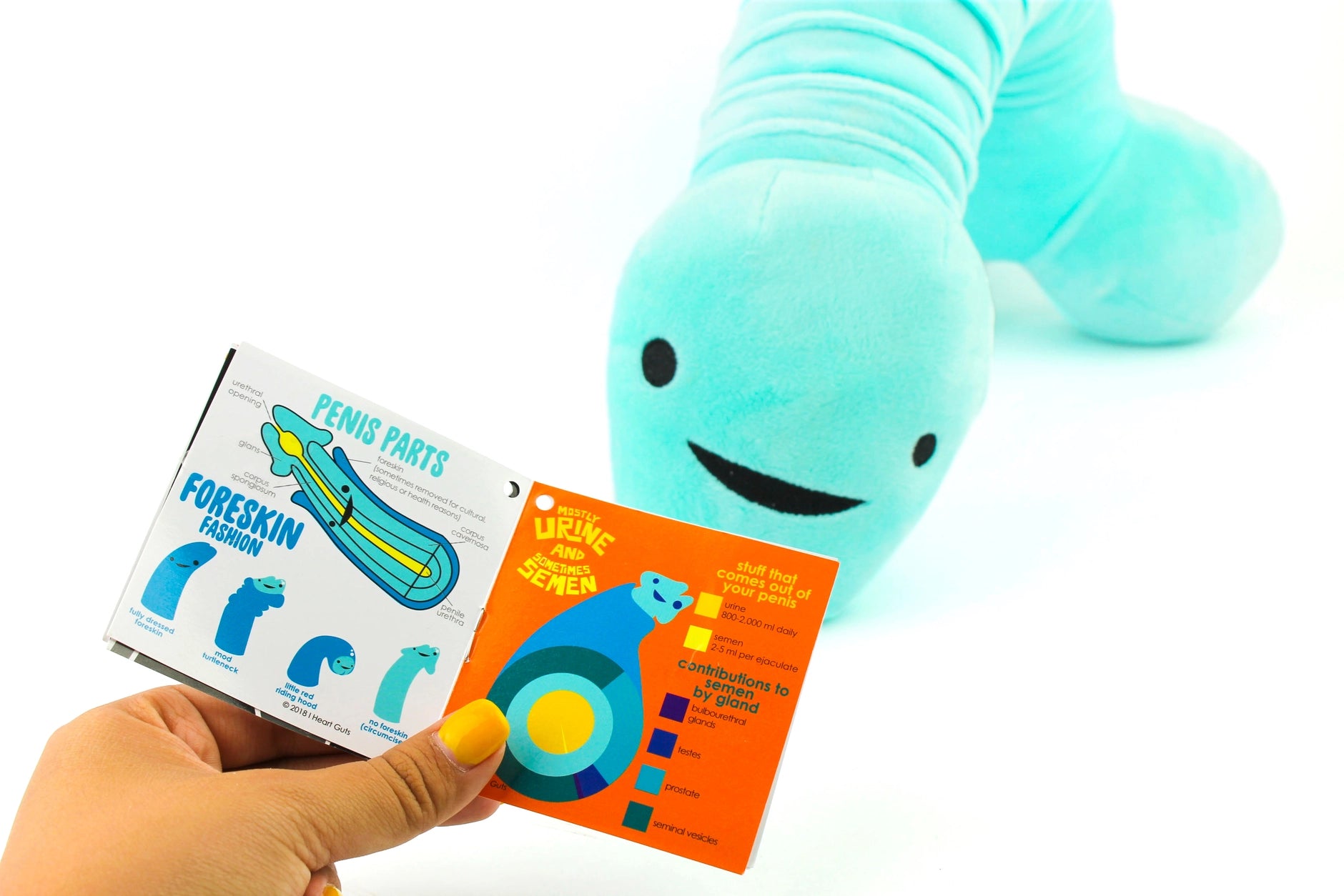 Knuffel/nekkussen penis met voorhuidzakje