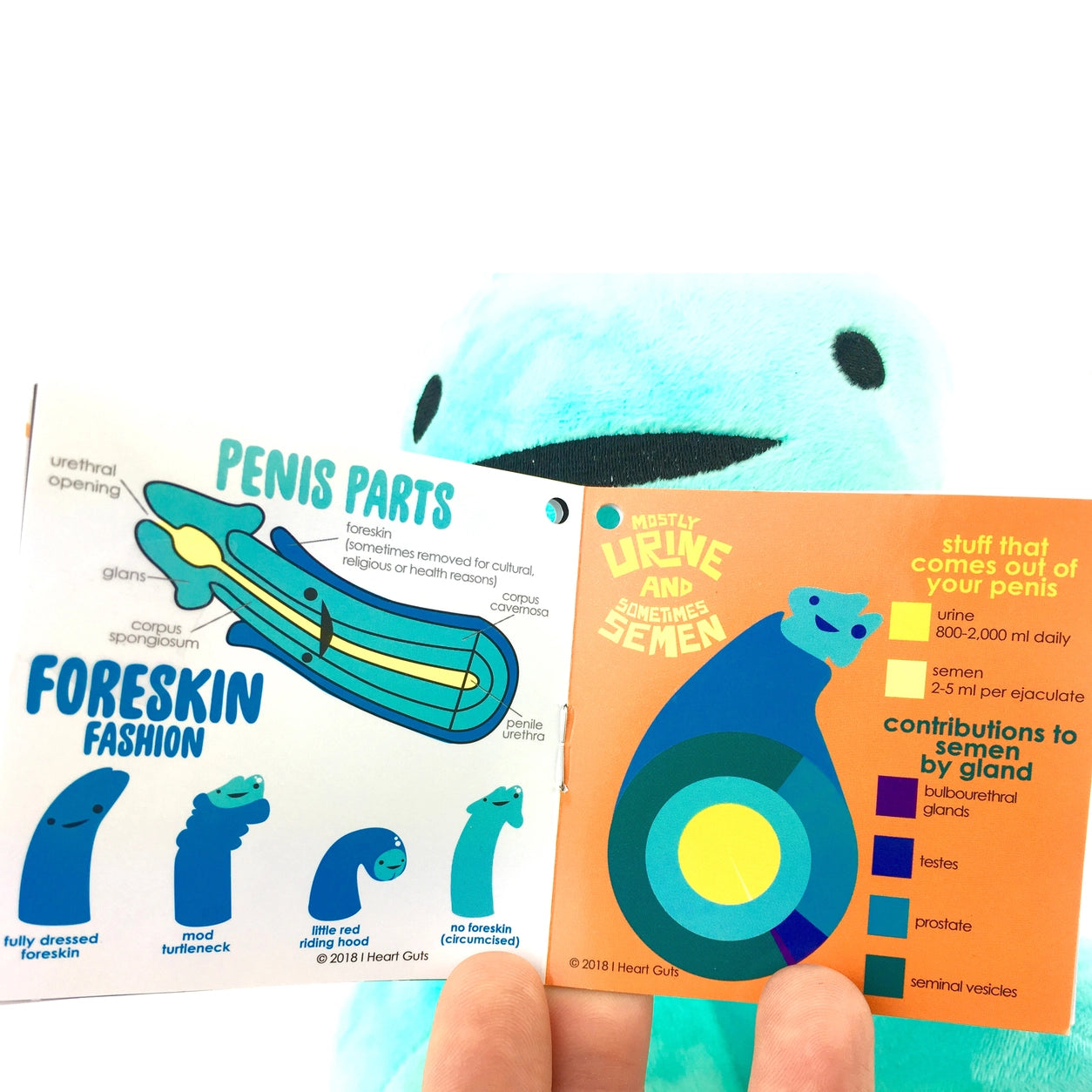 Knuffel/nekkussen penis met voorhuidzakje