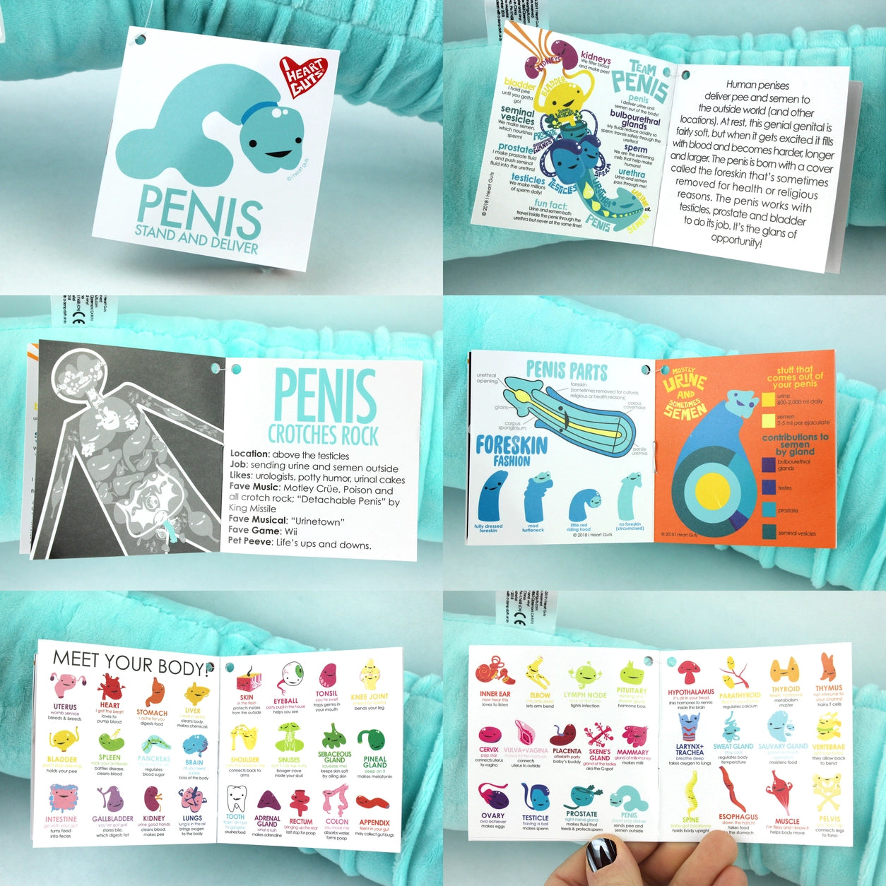 Knuffel/nekkussen penis met voorhuidzakje
