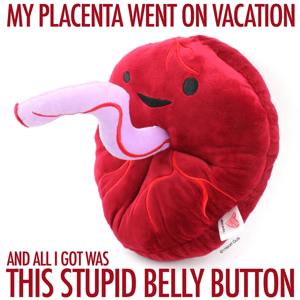 plushie placenta - Baby's First Roommate