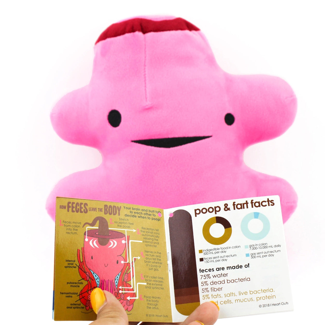 plushie rectum - Bringing Up The Rear