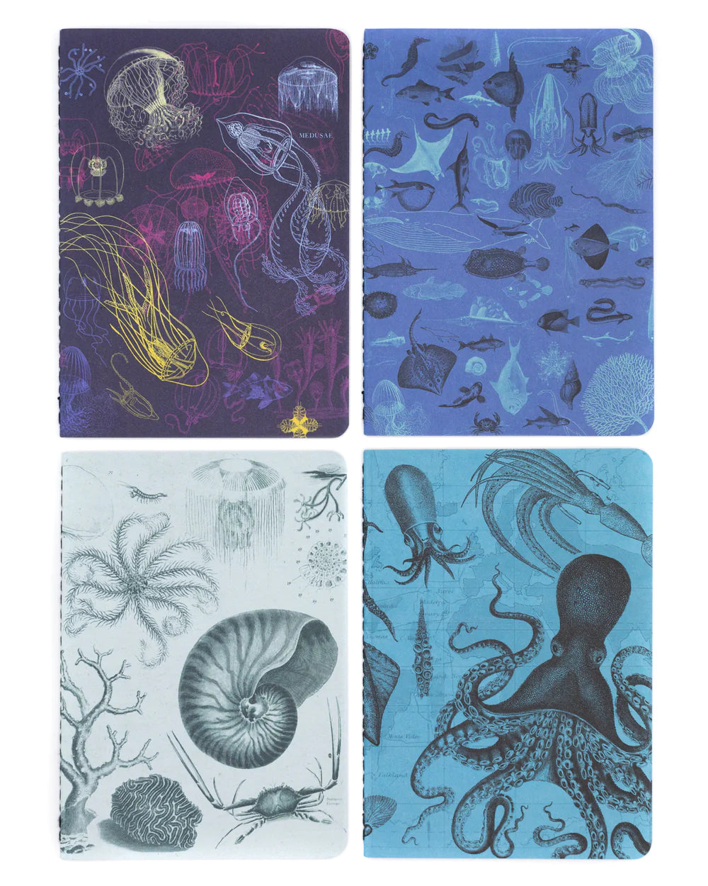 Set of pocket notebooks marine biology