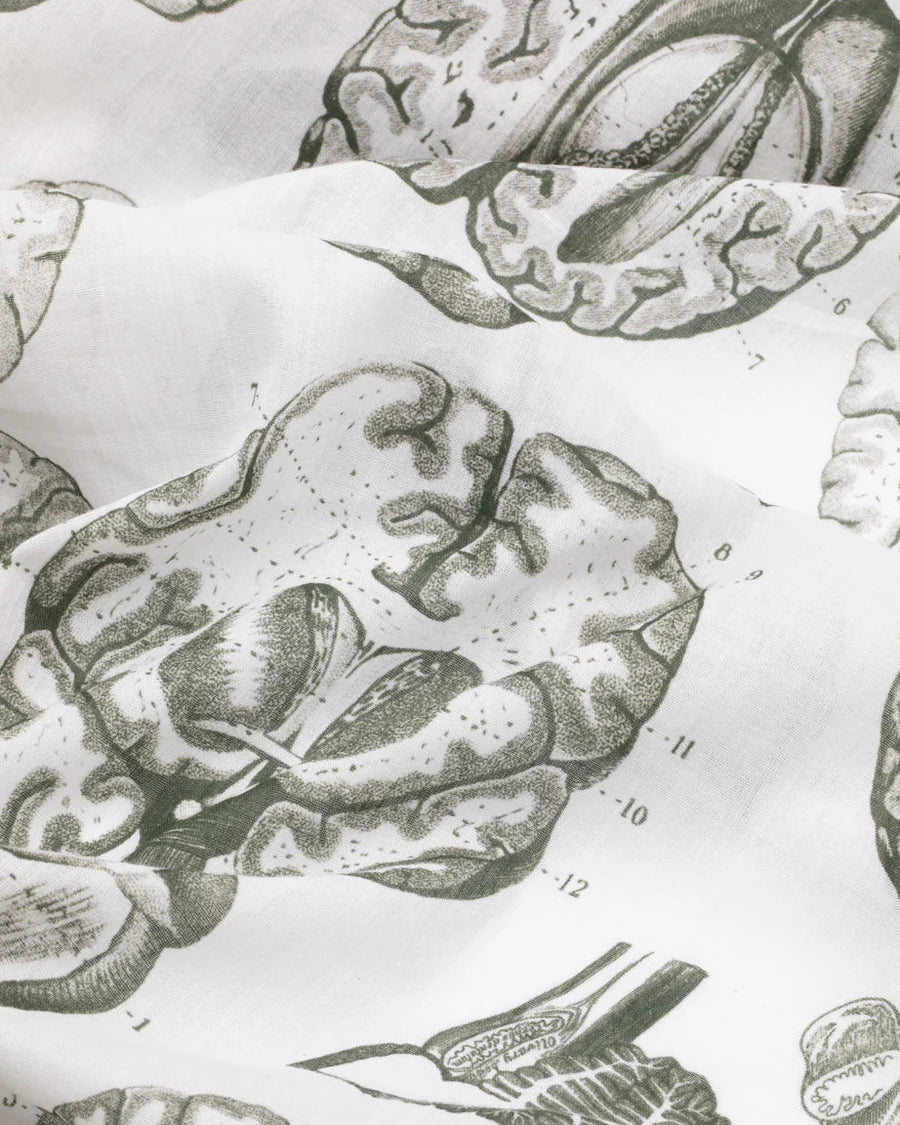 Scarf brain scan