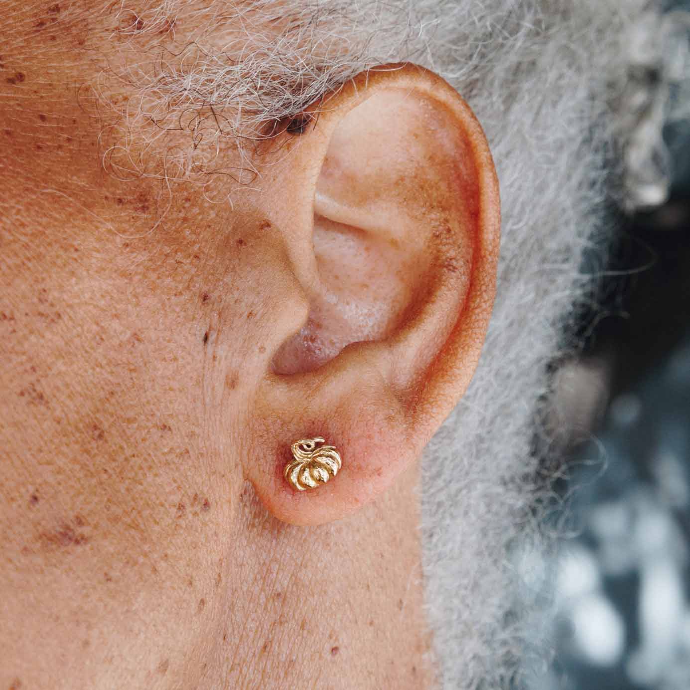 Zilveren oorbellen met bronzen pompoen