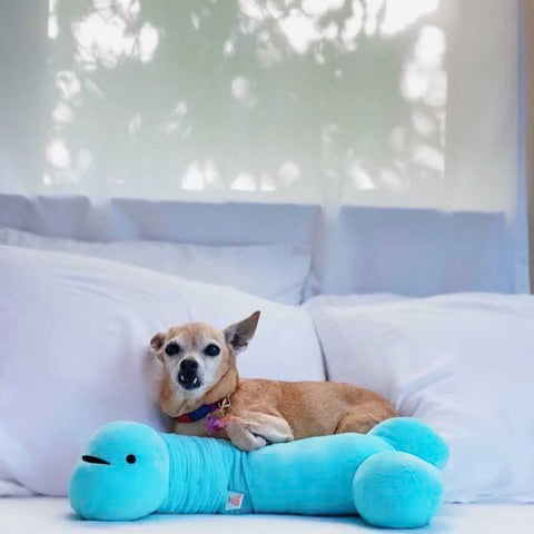 Knuffel/nekkussen penis met voorhuidzakje