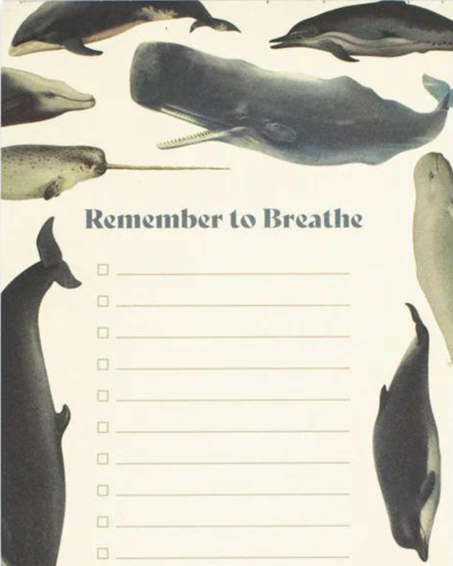 Takenlijst Walvissen - Remember To Breathe