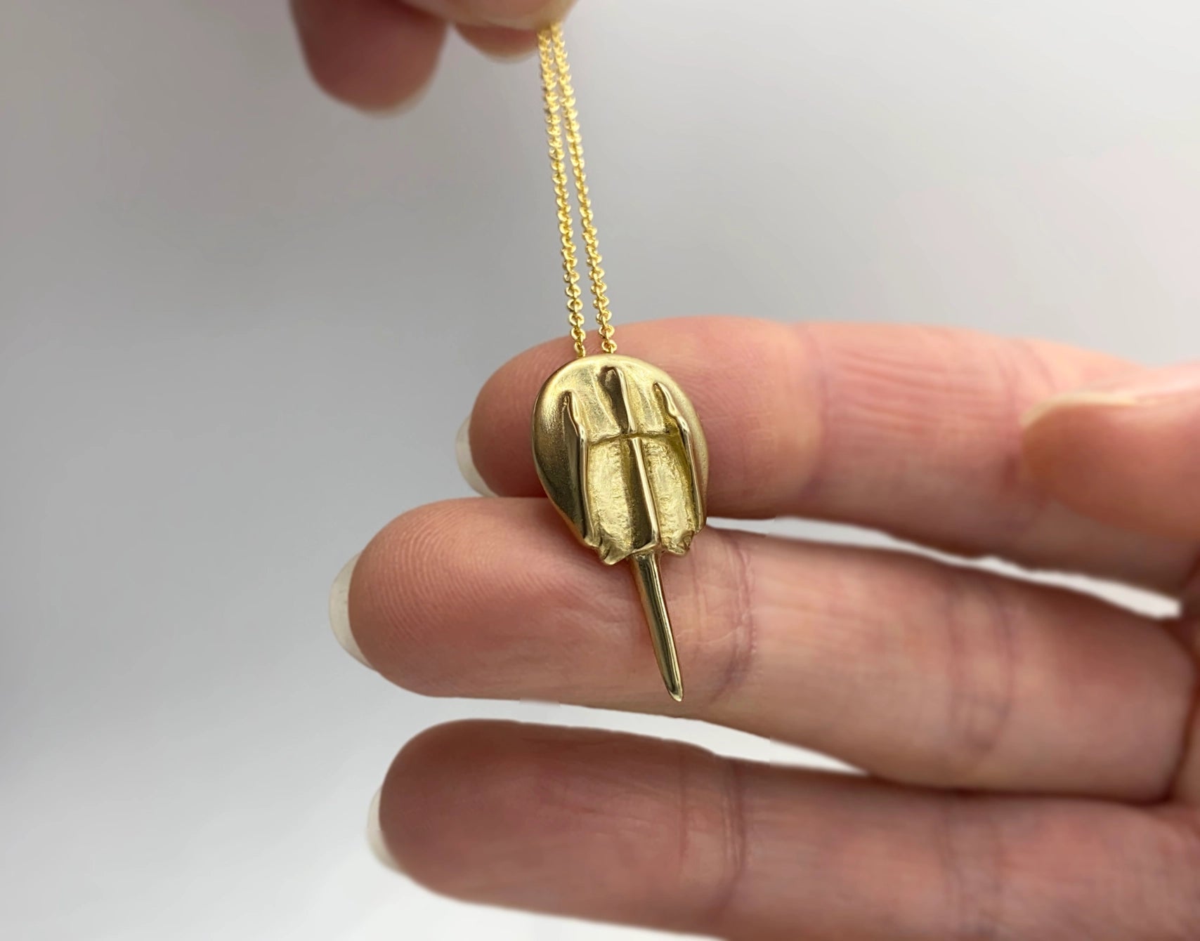 Gold filled necklace with bronze horseshoe crab