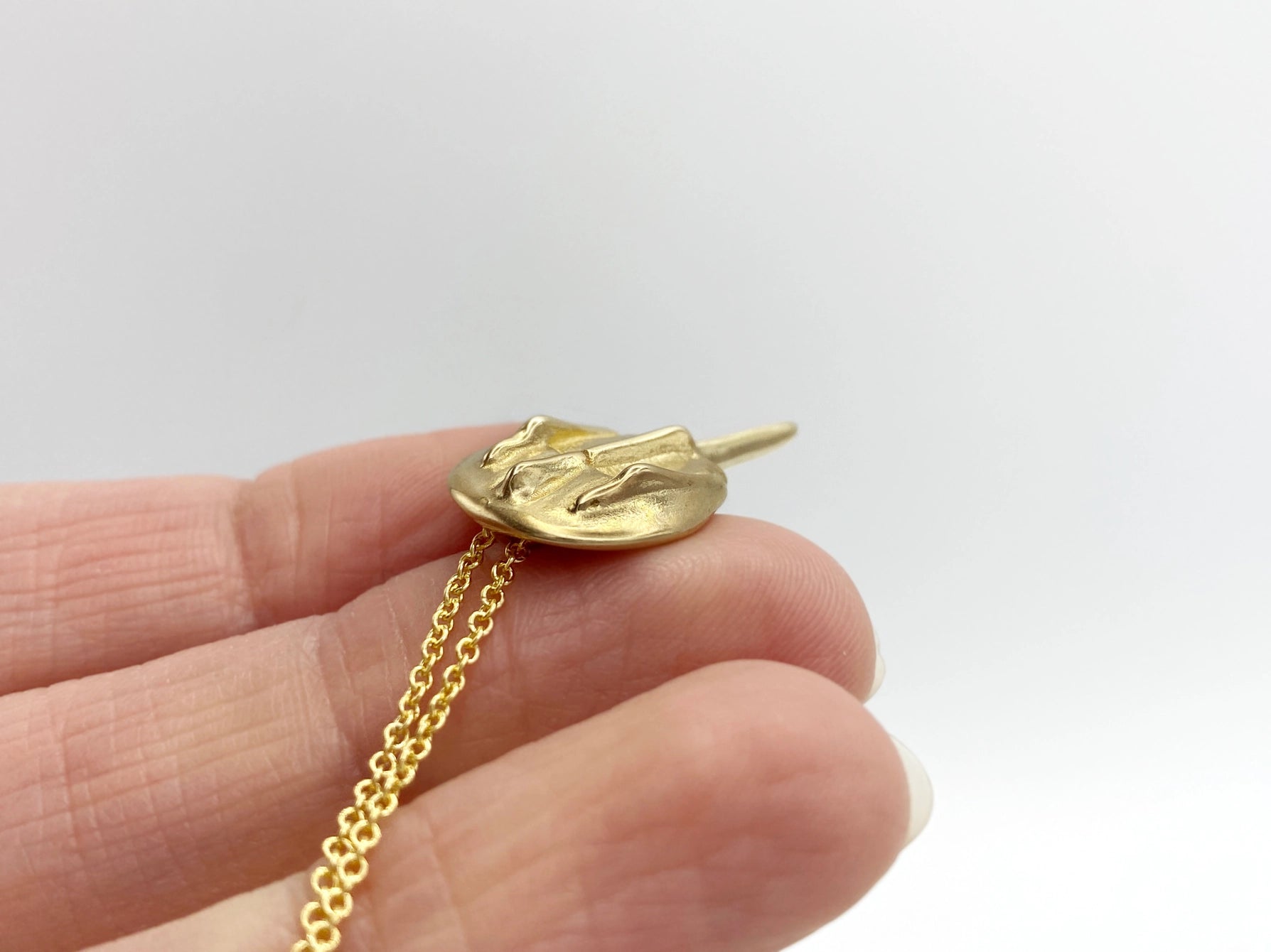 Gold filled necklace with bronze horseshoe crab