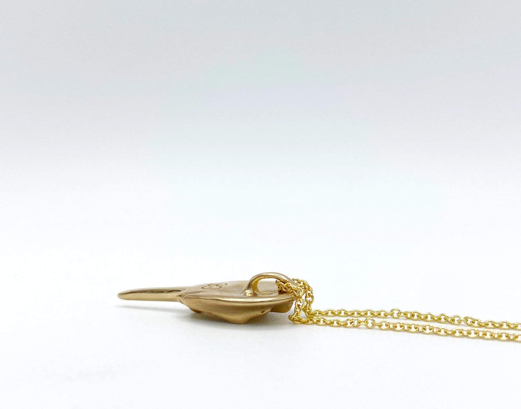 Gold filled necklace with bronze horseshoe crab