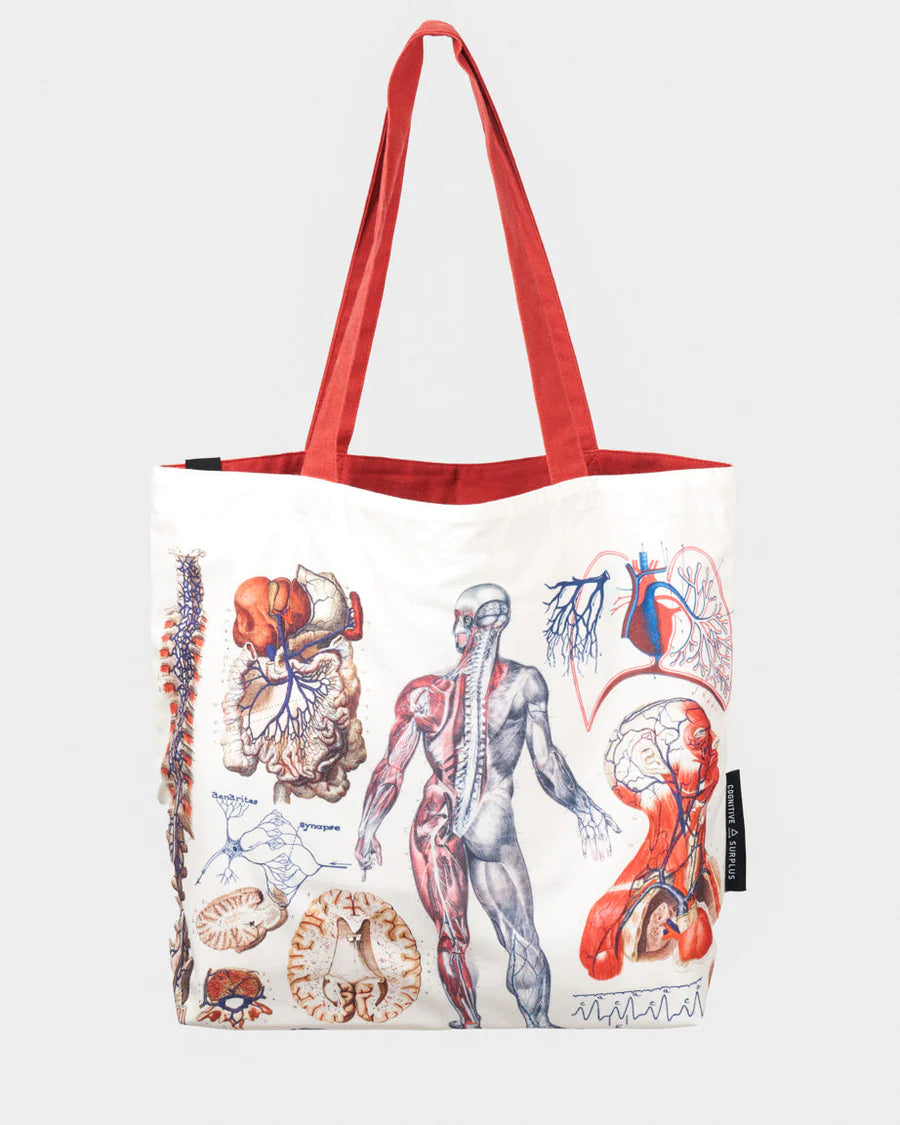 Schoudertas anatomie