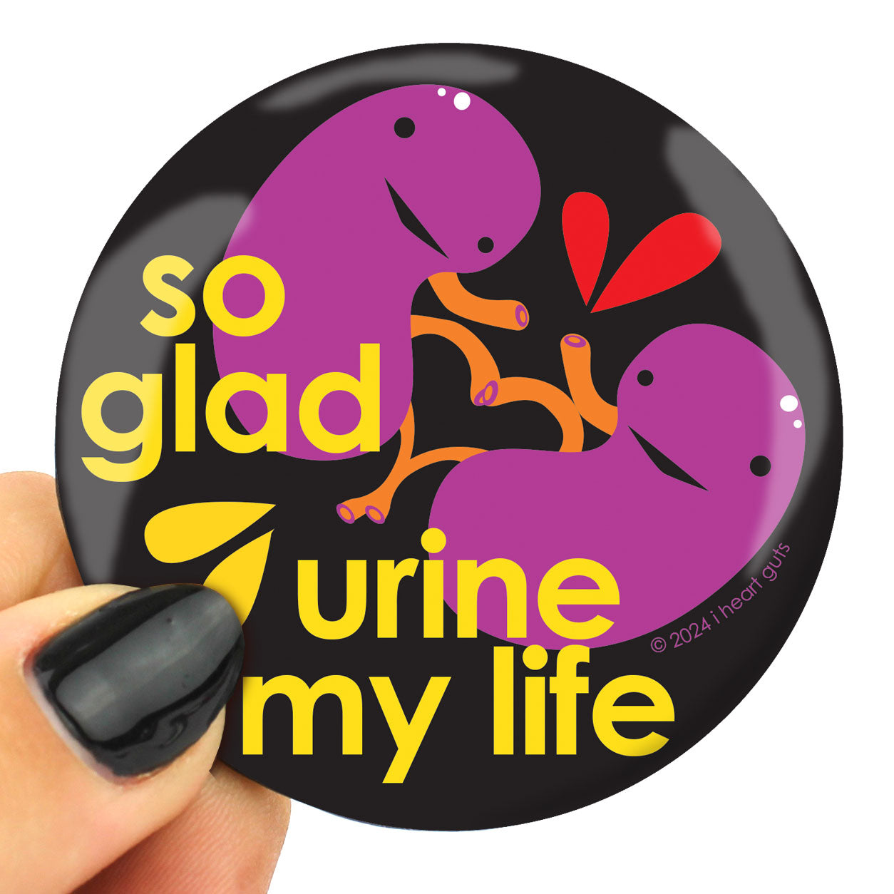 Magnet Kidney - Glad Urine My Life