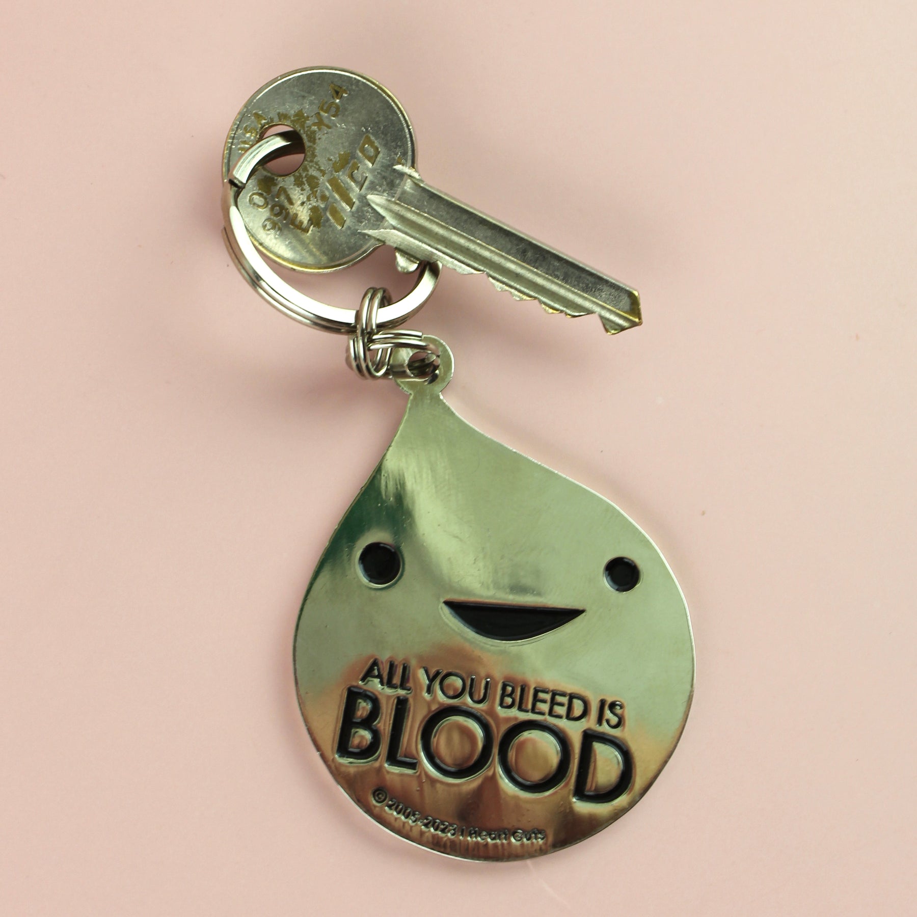 Blood Drop Keychain - All You Bleed is Blood