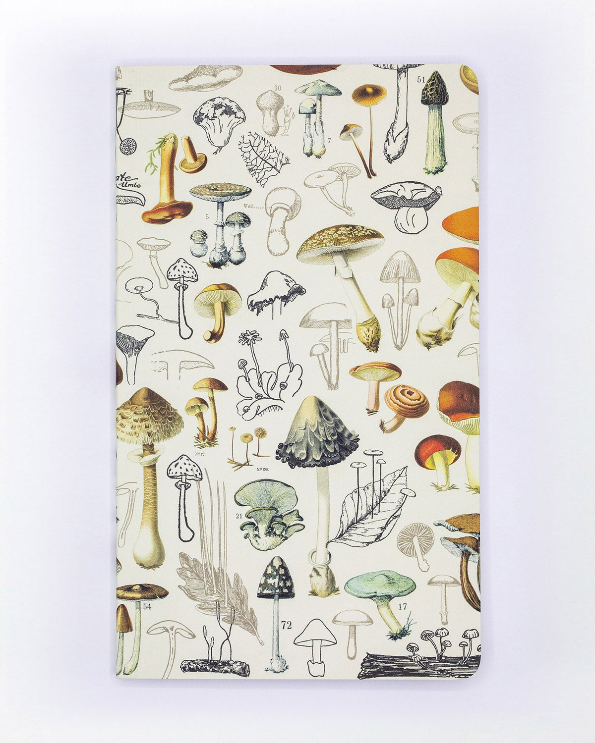 Agenda paddenstoelen