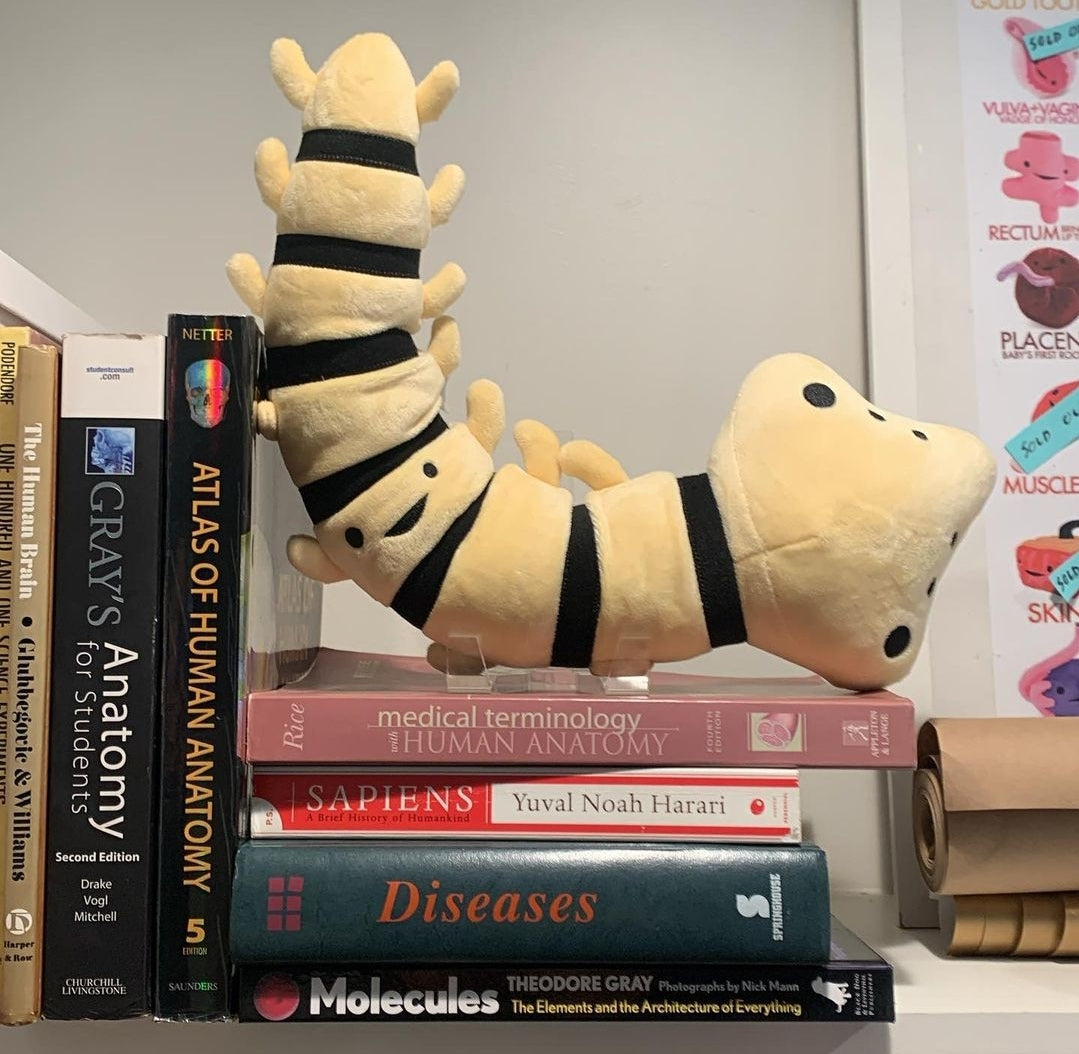 plushie backbone - I Got Your Back