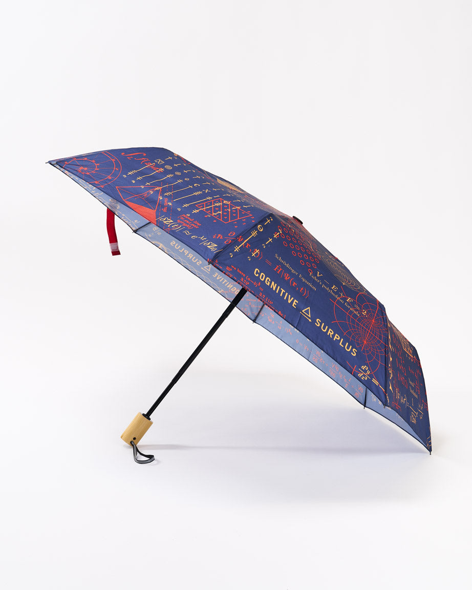 Umbrella Equations That Changed The World