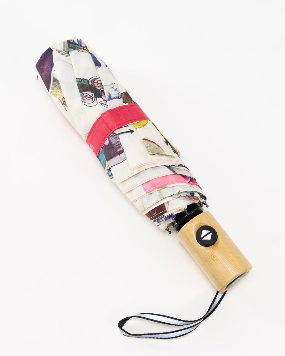 Umbrella Fabulous Fungi