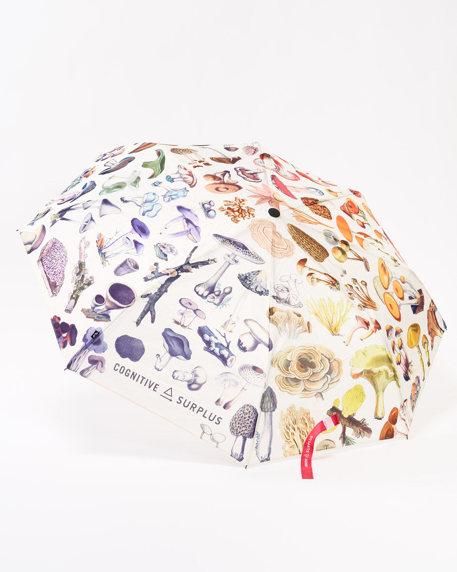 Umbrella Woodland Mushrooms
