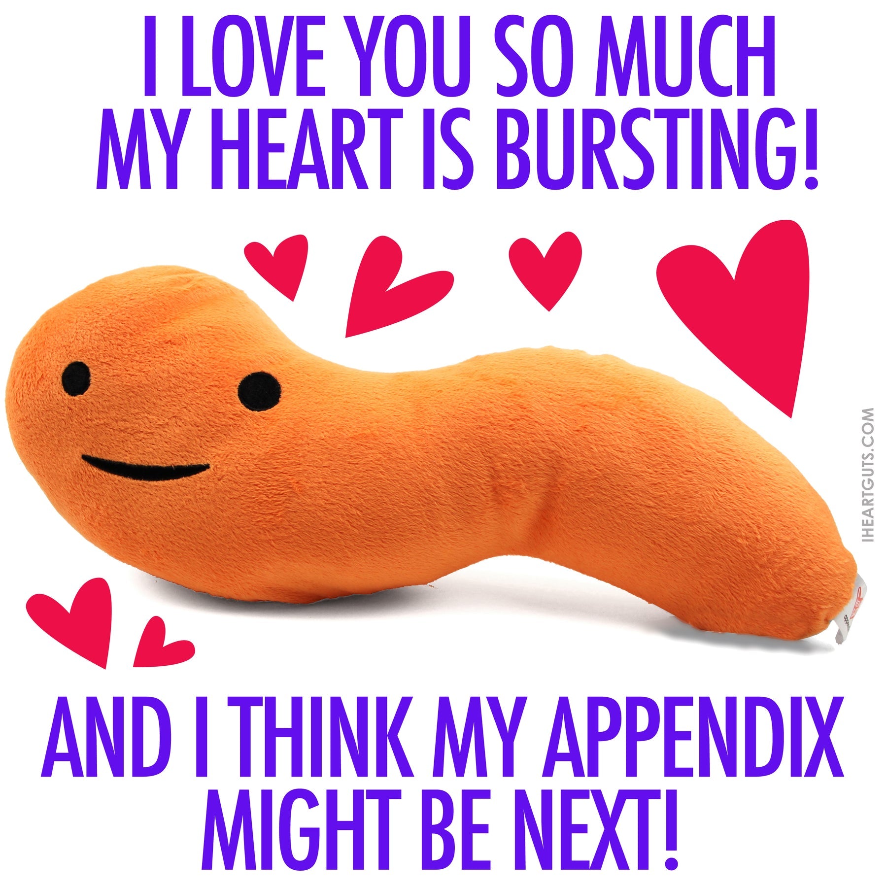 Knuffel appendix - Feel it in your gut