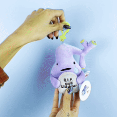 Gallbladder keychain - R.I.P. Gall Bladder