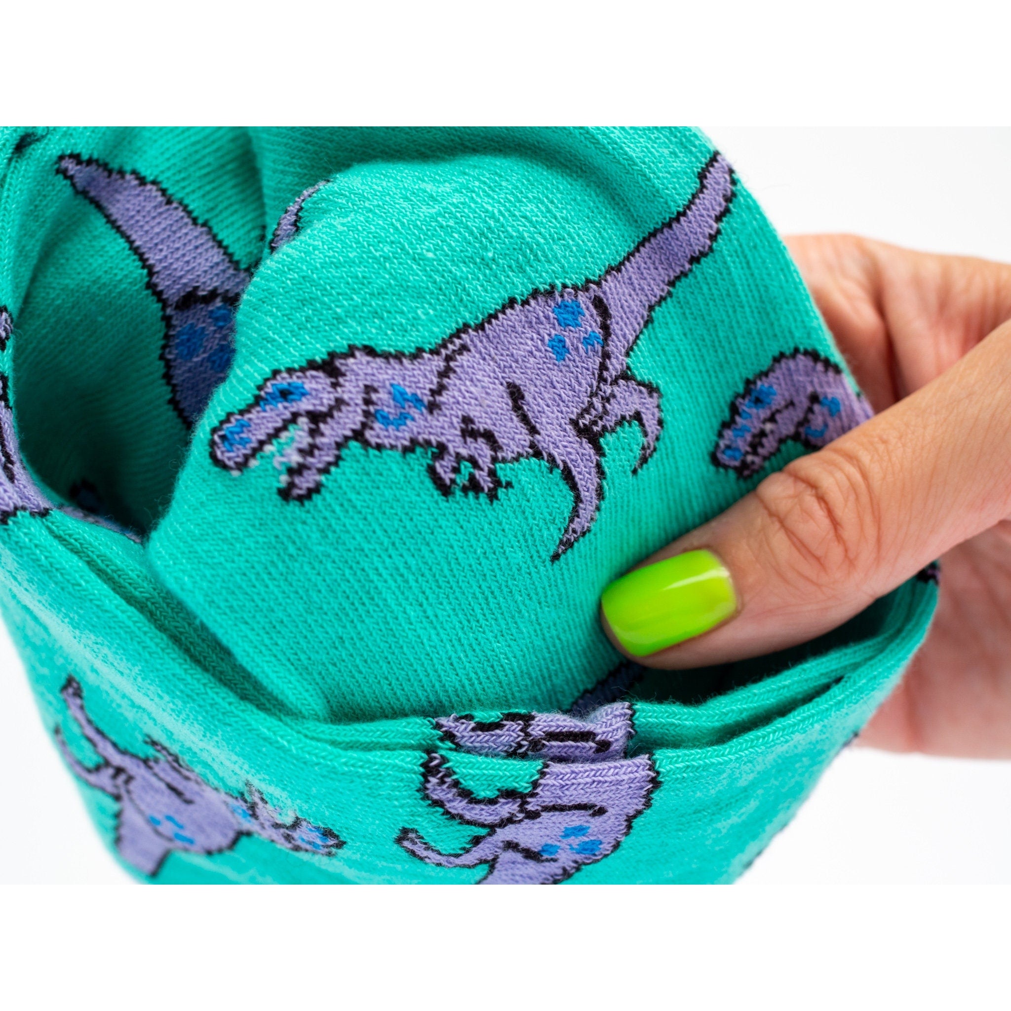 Sokken T-rex - Fairy Positron