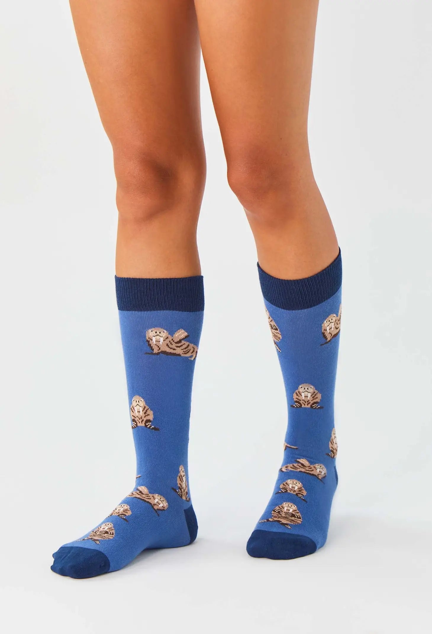 Chaussettes Morse