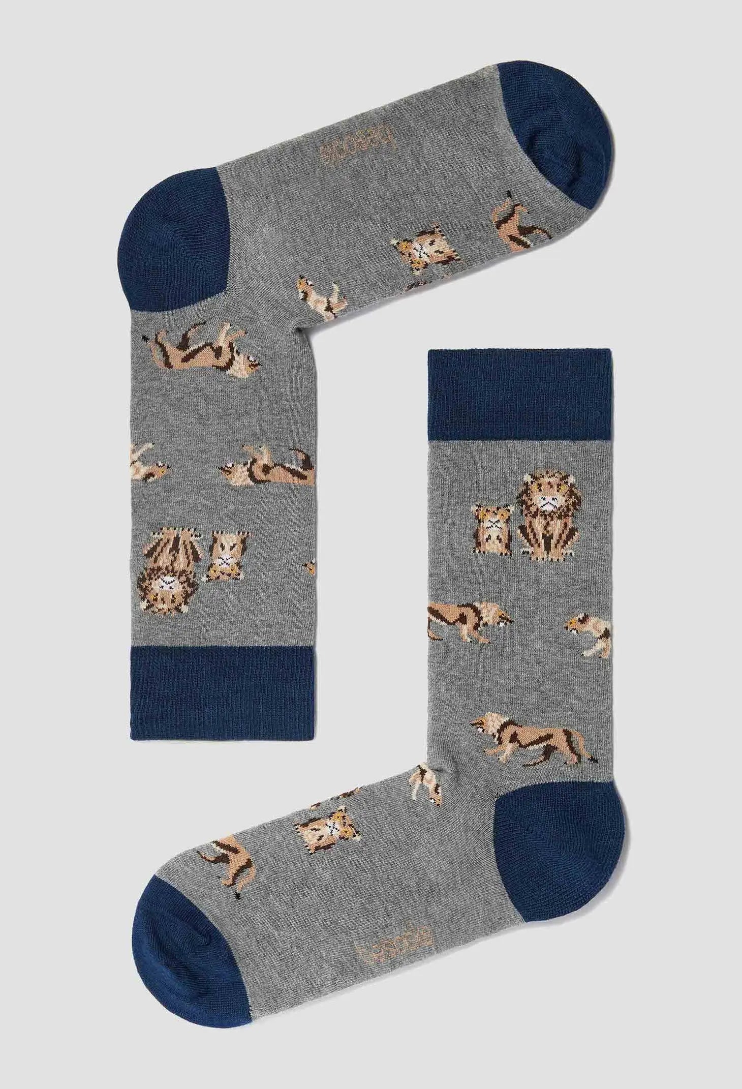Lot de chaussettes Love Earth