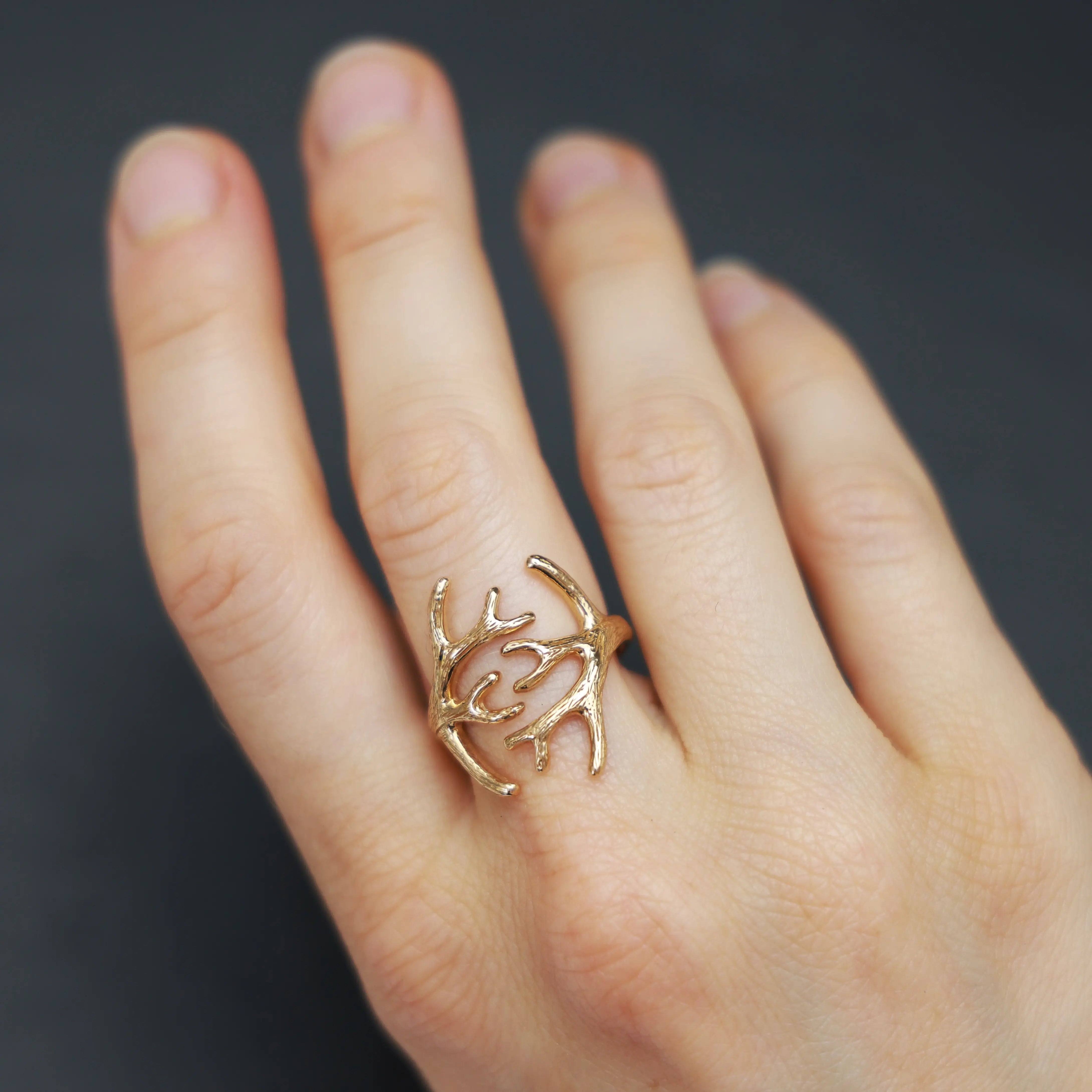 Bronzen ring gewei - Fairy Positron