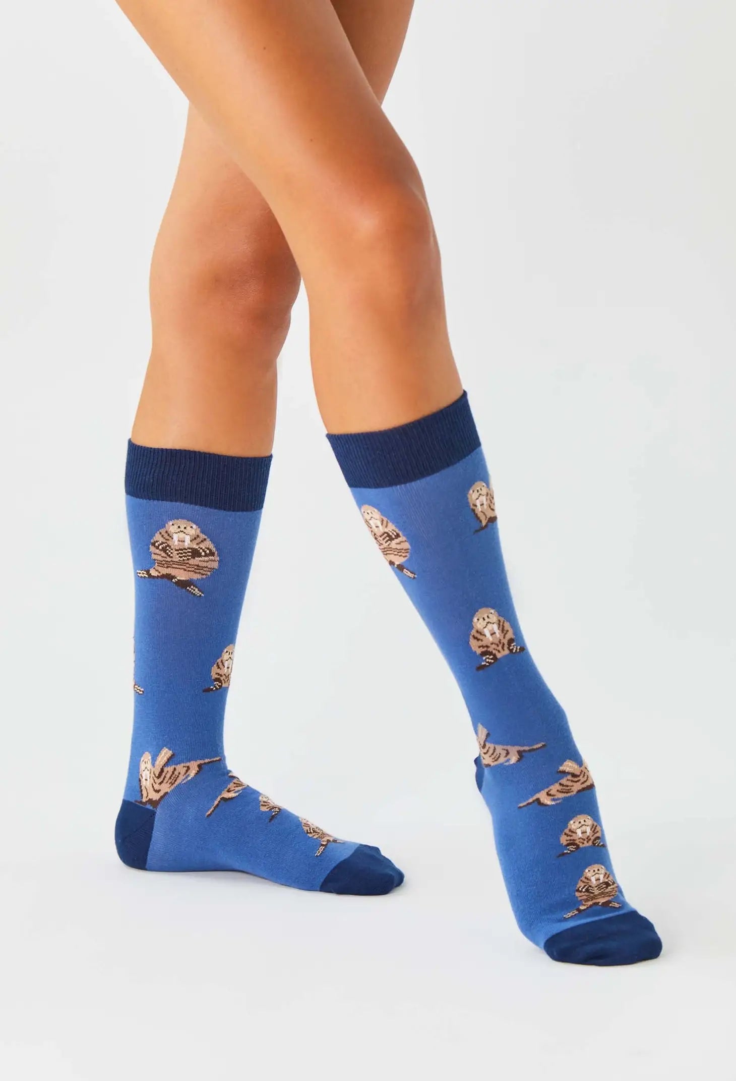 Chaussettes Morse