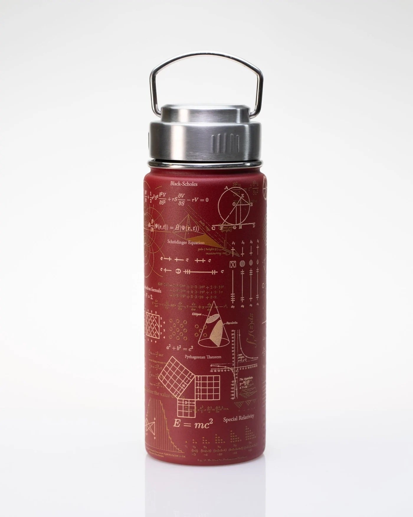 Drinkfles/thermos formules die de wereld veranderden (550ml) - Fairy Positron