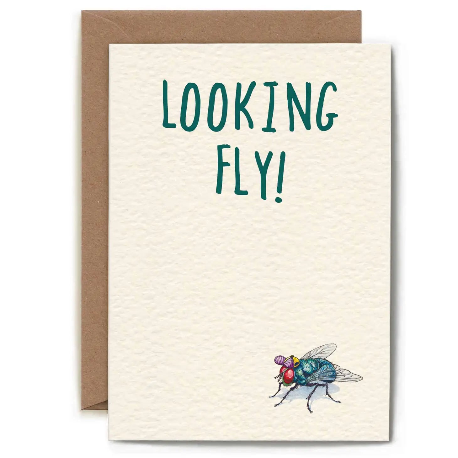 Wenskaart vlieg "Looking fly"