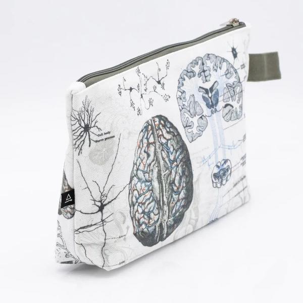 zip case anatomy of the brain - Fairy Positron
