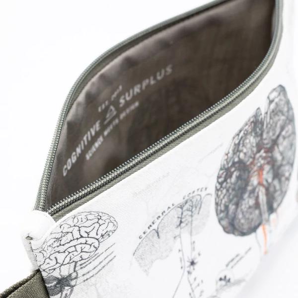 zip case anatomy of the brain - Fairy Positron