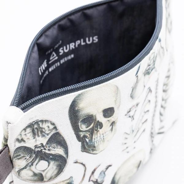 zip case skeleton - Fairy Positron