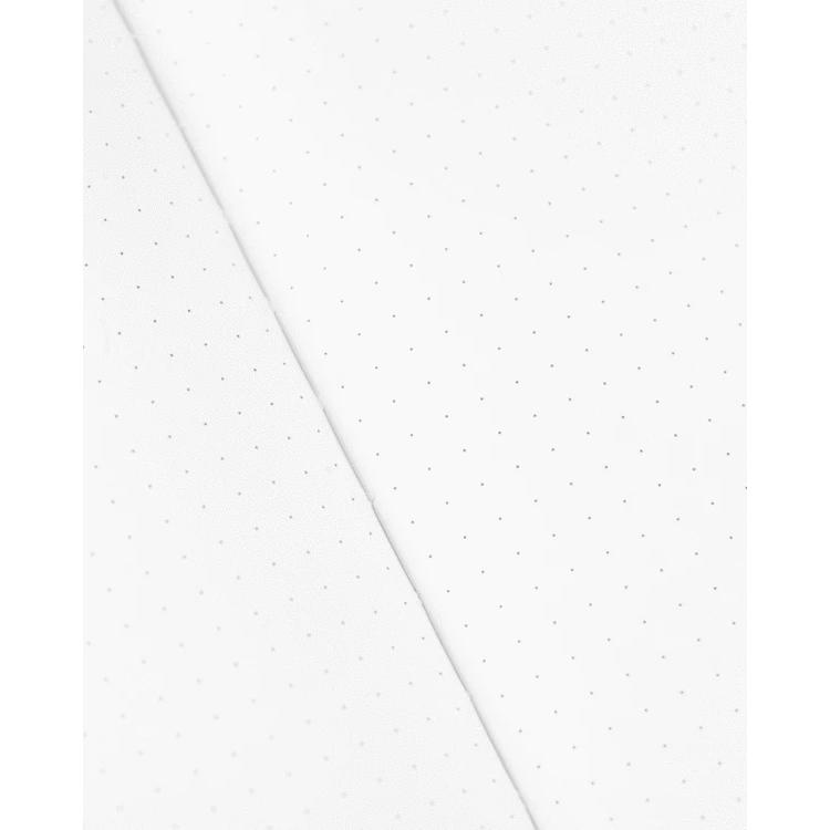 Notitieboekje insecten (puntraster) - Fairy Positron